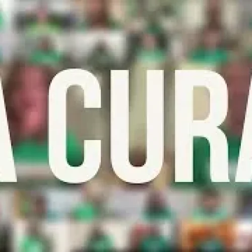 Em Busca da Cura